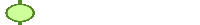 BIGG Steam Stones